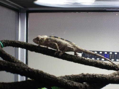 100_4857.jpg