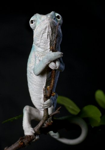 standing620.jpg