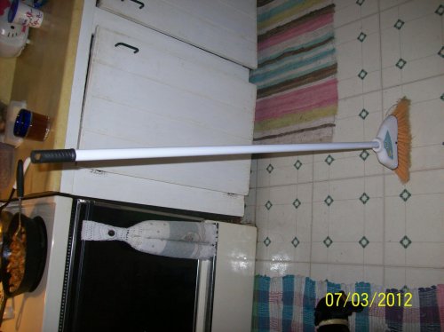 102_1000.jpg