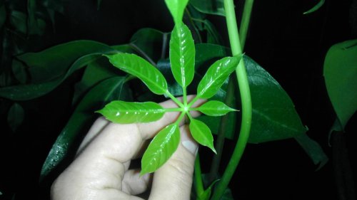 IMAG0113.jpg