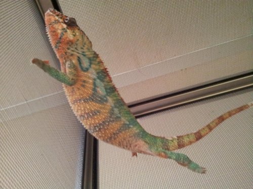 20120308_140447.jpg