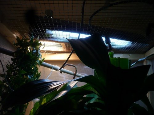 P1010868.JPG