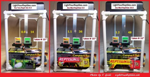 3 CFLS.jpg