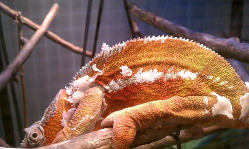 IMAG0273.jpg