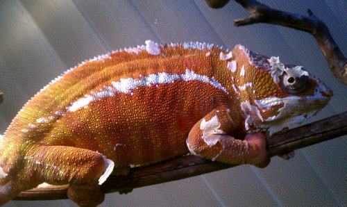 IMAG0280.jpg