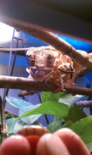 IMAG0276.jpg