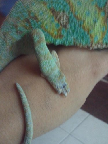 2012-03-10 20.43.00 (1).jpg