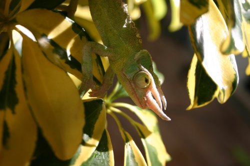 IMG_7767.jpg