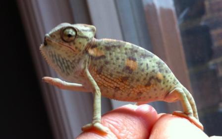 Screen shot 2012-03-12 at 5.13.20 PM.jpg