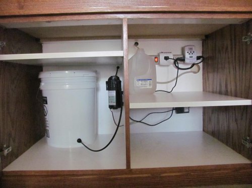 King of the jungle 023.jpg