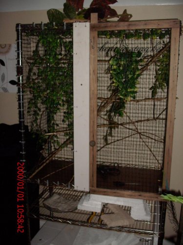 mitsio and home 005.jpg