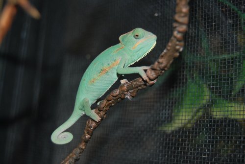 DSC_4582.jpg