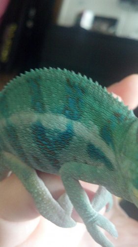 2012-03-13_14-59-09_254.jpg