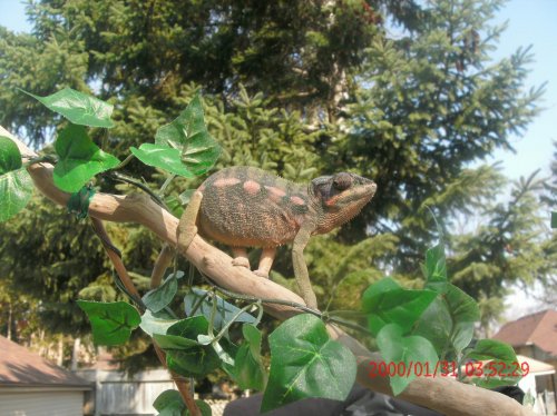 New Photos March 15  2012 140.jpg