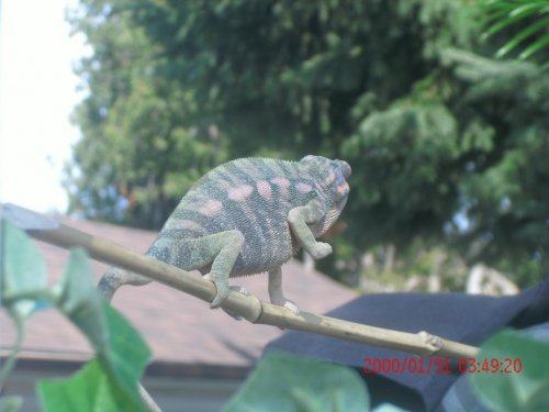 New Photos March 15  2012 138.jpg