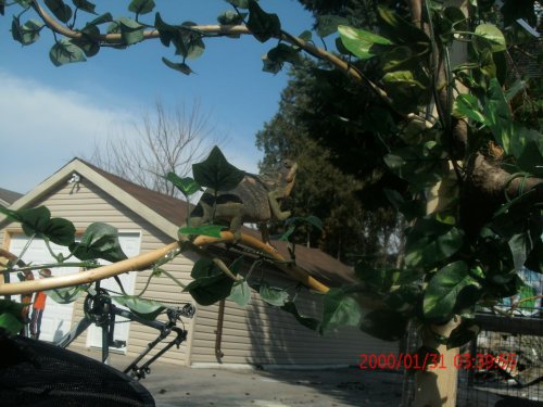 New Photos March 15  2012 124.jpg