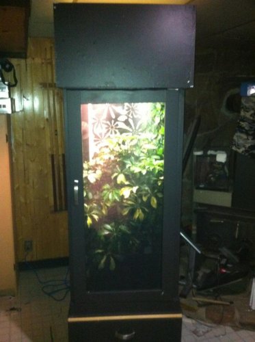 420000_10151394864495319_596525318_23672584_968727343_n[1].jpg