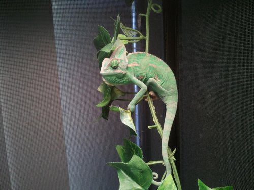2012-03-18 16.13.46.jpg