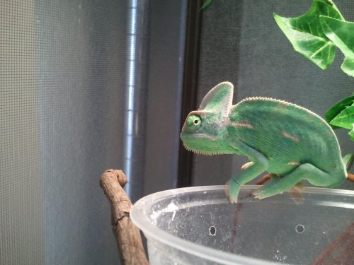 2012-03-18 16.08.08.jpg