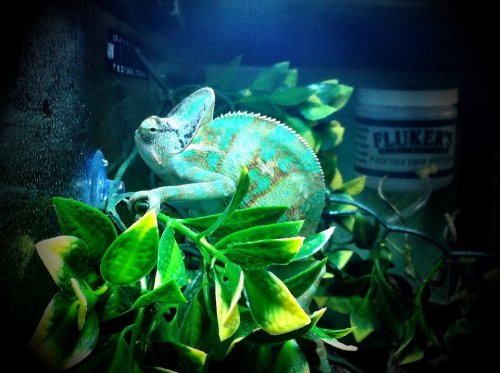 Nelson first pic.jpg