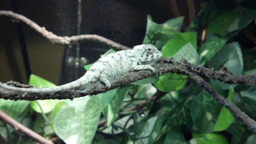 2012-03-21_12-14-03_798.jpg 2012-03-21_12-14-03_798.jpg