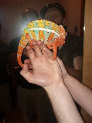IMG_20120322_212505.jpg