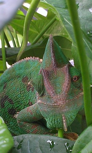 IMAG0200.jpg