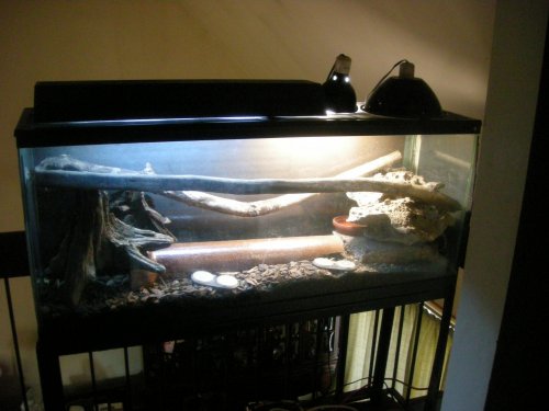 Kimberly Rock 002.jpg