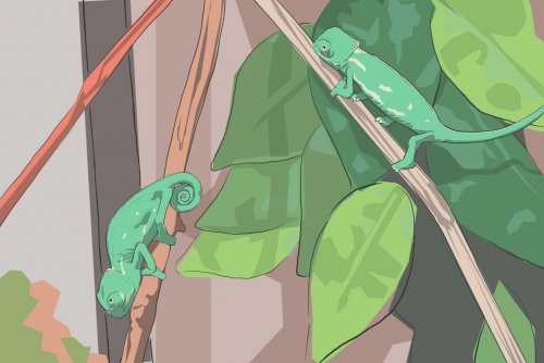 Baby Chameleons.jpg