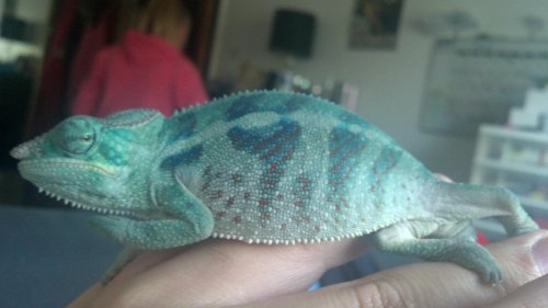 2012-03-28_17-54-24_417.jpg