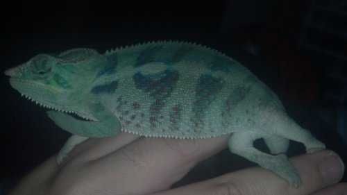 2012-03-28_17-54-37_459.jpg