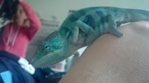2012-03-28_17-55-15_824.jpg