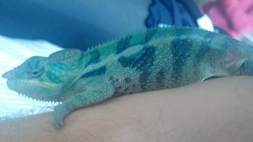 2012-03-28_17-55-24_340.jpg