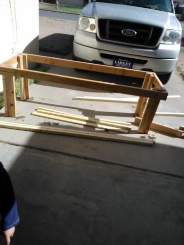 cage3.jpg