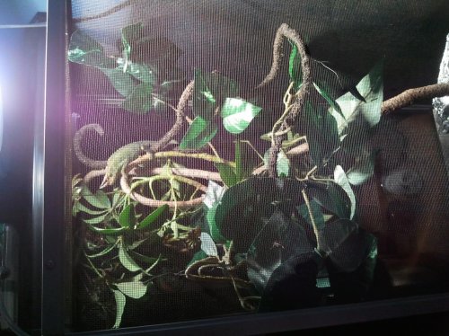 2012-04-02 19.41.34.jpg