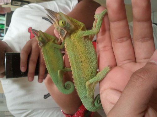 2012-04-03 19.03.12.jpg