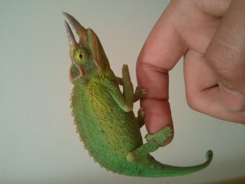 2012-04-05_15.46.58.jpg