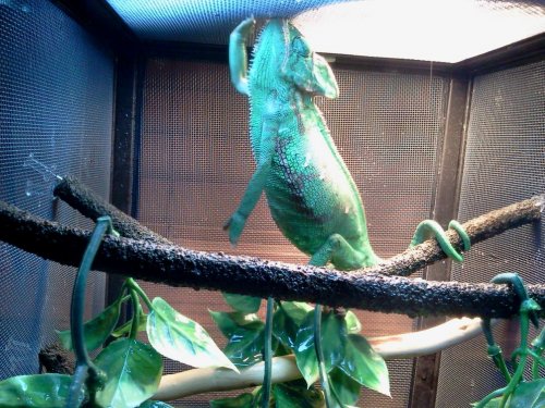 2012-03-01 19.01.23.jpg