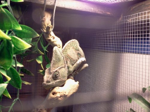 2012-04-06 21.02.36.jpg