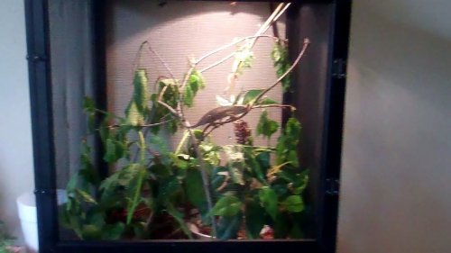 Untitled 0 00 00-01.jpg