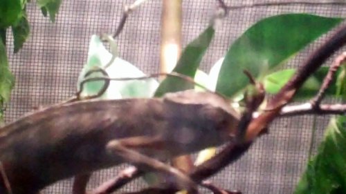 Untitled 0 00 26-49.jpg