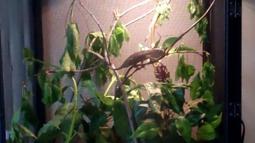 Untitled 0 01 03-48.jpg