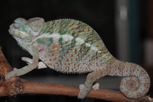 DSC_0277.jpg