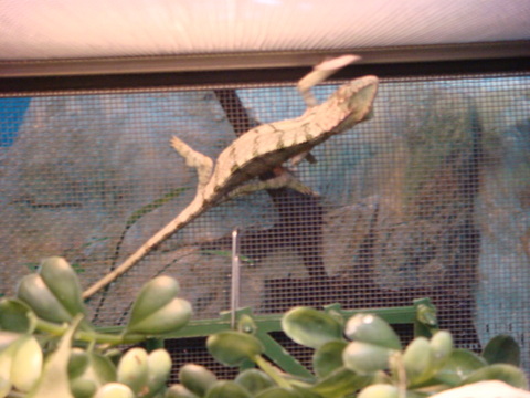 DSC02106.JPG
