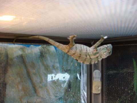 DSC02109.JPG