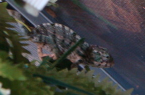DSC02111.JPG