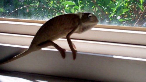 Untitled 0 00 00-02.jpg