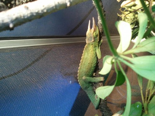 2012-04-09 16.13.23.jpg