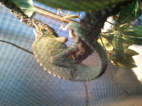 2012-04-09 16.18.04.jpg