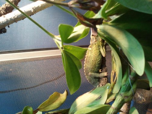 2012-04-09 16.12.59.jpg